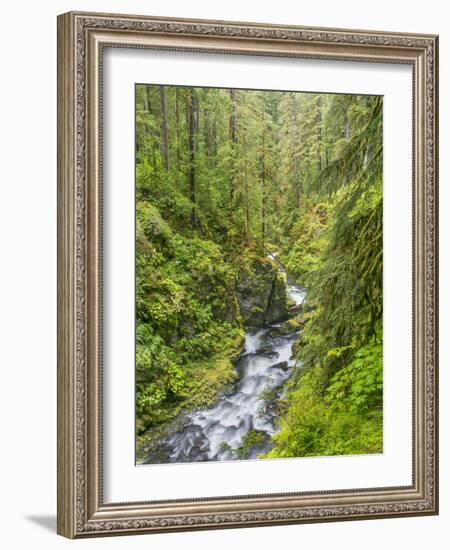 Washington State, Olympic National Park. Landscape with Sol Duc River-Jaynes Gallery-Framed Photographic Print