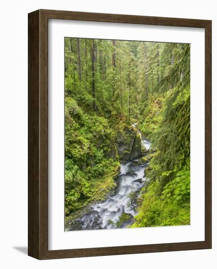 Washington State, Olympic National Park. Landscape with Sol Duc River-Jaynes Gallery-Framed Photographic Print