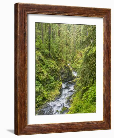 Washington State, Olympic National Park. Landscape with Sol Duc River-Jaynes Gallery-Framed Photographic Print