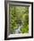 Washington State, Olympic National Park. Landscape with Sol Duc River-Jaynes Gallery-Framed Photographic Print