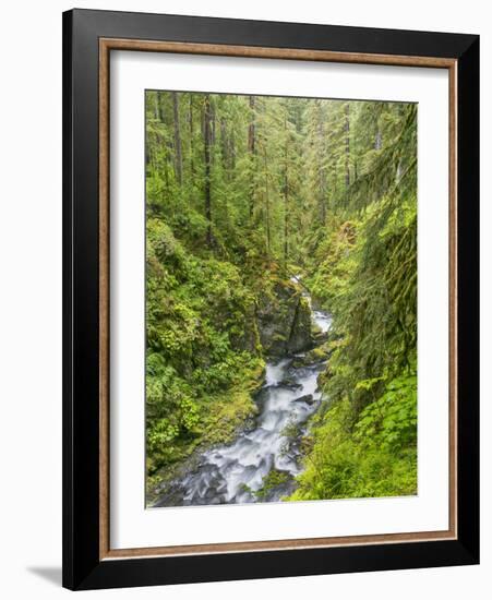 Washington State, Olympic National Park. Landscape with Sol Duc River-Jaynes Gallery-Framed Photographic Print