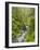 Washington State, Olympic National Park. Landscape with Sol Duc River-Jaynes Gallery-Framed Photographic Print