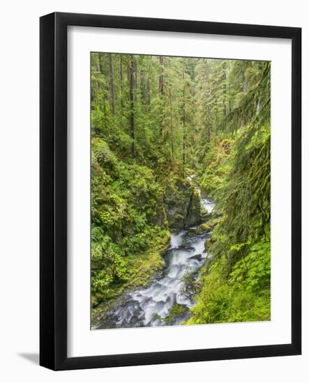 Washington State, Olympic National Park. Landscape with Sol Duc River-Jaynes Gallery-Framed Photographic Print