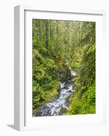 Washington State, Olympic National Park. Landscape with Sol Duc River-Jaynes Gallery-Framed Photographic Print