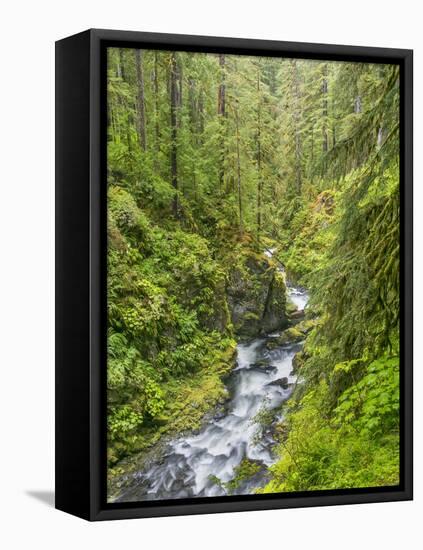 Washington State, Olympic National Park. Landscape with Sol Duc River-Jaynes Gallery-Framed Premier Image Canvas