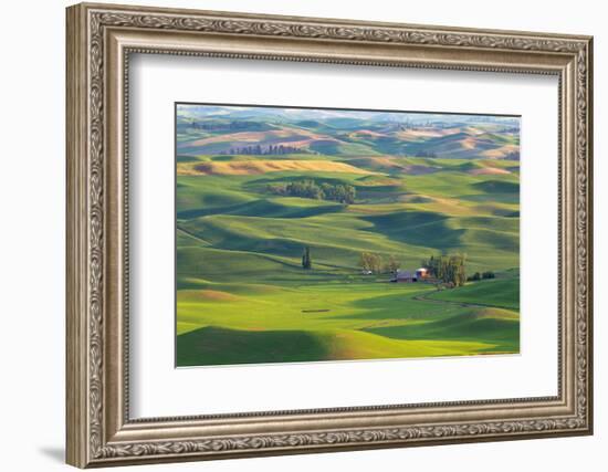 Washington State, Palouse Hills. Farmland Viewed from Steptoe Butte-Don Paulson-Framed Photographic Print