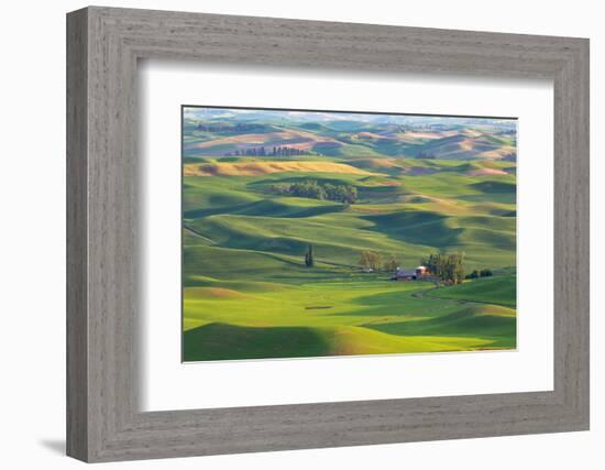 Washington State, Palouse Hills. Farmland Viewed from Steptoe Butte-Don Paulson-Framed Photographic Print