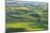 Washington State, Palouse Hills. Farmland Viewed from Steptoe Butte-Don Paulson-Mounted Photographic Print