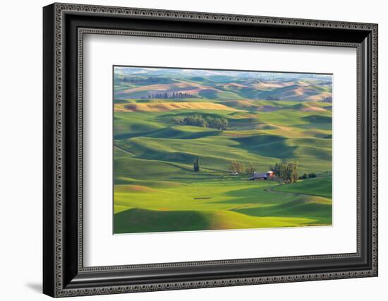 Washington State, Palouse Hills. Farmland Viewed from Steptoe Butte-Don Paulson-Framed Photographic Print