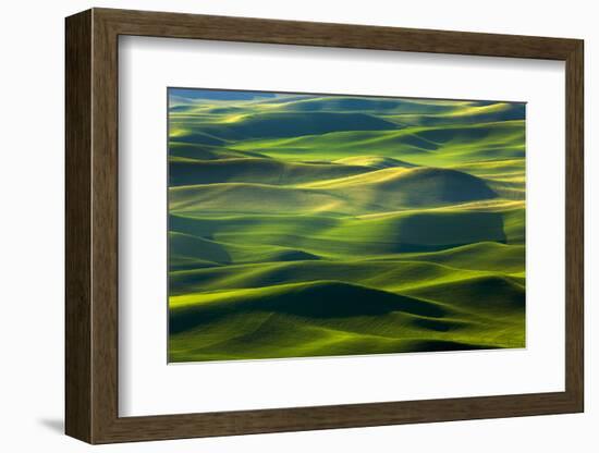 Washington State, Palouse Hills. Farmland Viewed from Steptoe Butte-Don Paulson-Framed Photographic Print