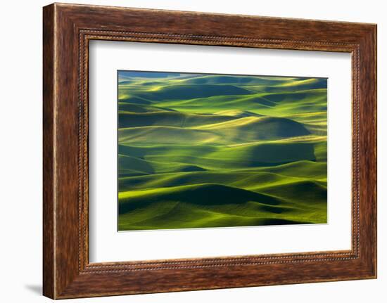 Washington State, Palouse Hills. Farmland Viewed from Steptoe Butte-Don Paulson-Framed Photographic Print