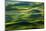 Washington State, Palouse Hills. Farmland Viewed from Steptoe Butte-Don Paulson-Mounted Photographic Print