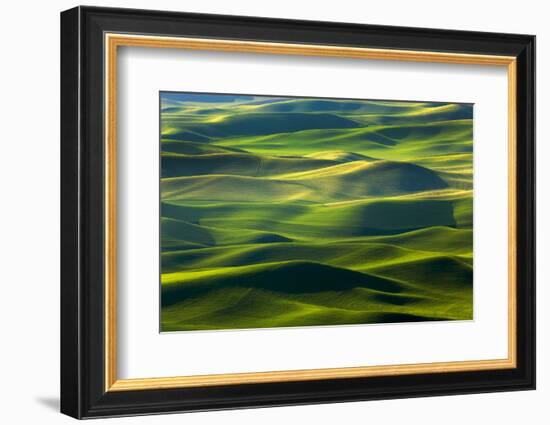 Washington State, Palouse Hills. Farmland Viewed from Steptoe Butte-Don Paulson-Framed Photographic Print