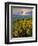 Washington State, Palouse Hills. Landscape with Douglas' Sunflowers-Don Paulson-Framed Photographic Print