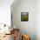 Washington State, Palouse Hills. Landscape with Douglas' Sunflowers-Don Paulson-Framed Premier Image Canvas displayed on a wall