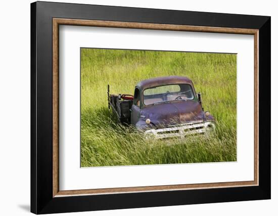 Washington State, Palouse. Vintage Studebaker Pickup Truck in Field-Jaynes Gallery-Framed Photographic Print