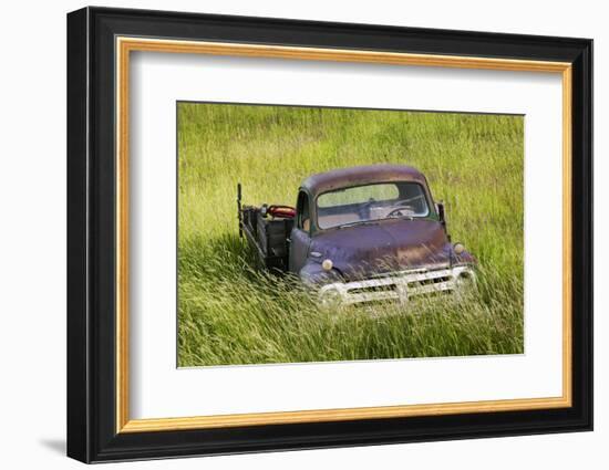 Washington State, Palouse. Vintage Studebaker Pickup Truck in Field-Jaynes Gallery-Framed Photographic Print