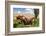 Washington State, Palouse, Whitman County. Pioneer Stock Farm, Tractor Used for Fence Building-Alison Jones-Framed Photographic Print