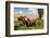 Washington State, Palouse, Whitman County. Pioneer Stock Farm, Tractor Used for Fence Building-Alison Jones-Framed Photographic Print