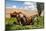 Washington State, Palouse, Whitman County. Pioneer Stock Farm, Tractor Used for Fence Building-Alison Jones-Mounted Photographic Print