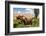 Washington State, Palouse, Whitman County. Pioneer Stock Farm, Tractor Used for Fence Building-Alison Jones-Framed Photographic Print