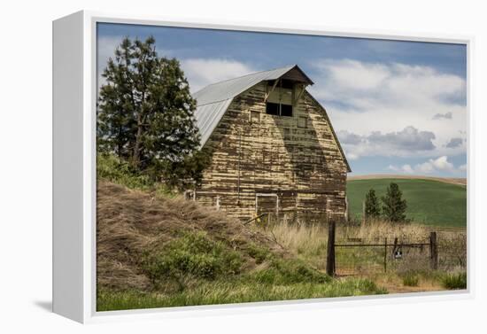 Washington State, Palouse, Whitman County-Alison Jones-Framed Premier Image Canvas