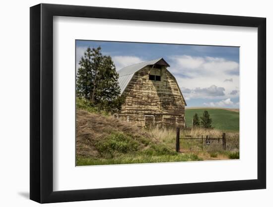 Washington State, Palouse, Whitman County-Alison Jones-Framed Photographic Print