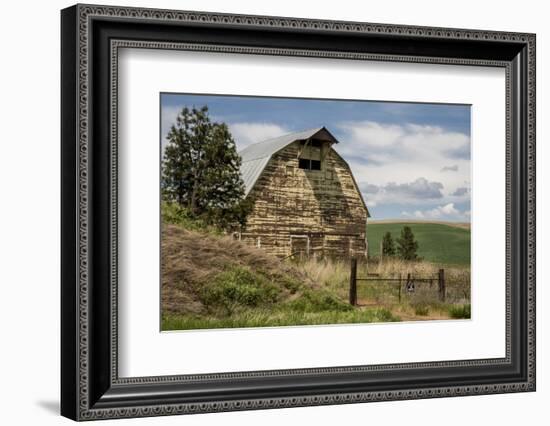 Washington State, Palouse, Whitman County-Alison Jones-Framed Photographic Print