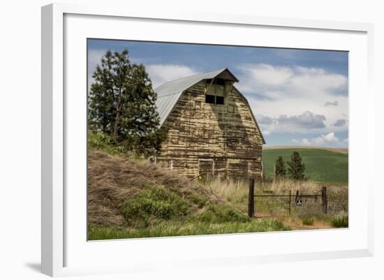 Washington State, Palouse, Whitman County-Alison Jones-Framed Photographic Print