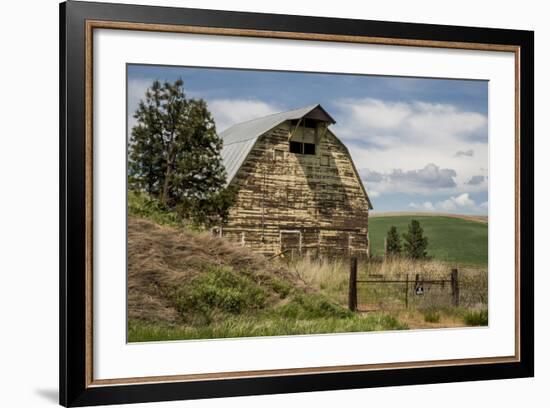 Washington State, Palouse, Whitman County-Alison Jones-Framed Photographic Print