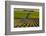 Washington State, Pasco. Sunset on a Vineyard-Richard Duval-Framed Photographic Print