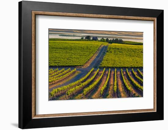 Washington State, Pasco. Sunset on a Vineyard-Richard Duval-Framed Photographic Print