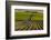 Washington State, Pasco. Sunset on a Vineyard-Richard Duval-Framed Photographic Print