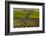 Washington State, Pasco. Sunset on a Vineyard-Richard Duval-Framed Photographic Print