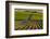 Washington State, Pasco. Sunset on a Vineyard-Richard Duval-Framed Photographic Print