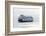 Washington State, Puget Sound. Ferry with Dense Fog Bank Limiting Visibility-Trish Drury-Framed Photographic Print