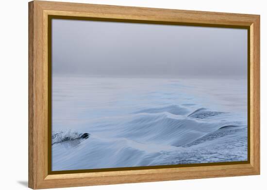 Washington State, Puget Sound Wake Patterns on Calm Water Reflecting Moody Light. Dense Fog-Trish Drury-Framed Premier Image Canvas