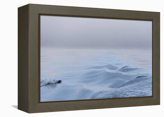 Washington State, Puget Sound Wake Patterns on Calm Water Reflecting Moody Light. Dense Fog-Trish Drury-Framed Premier Image Canvas