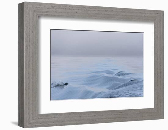 Washington State, Puget Sound Wake Patterns on Calm Water Reflecting Moody Light. Dense Fog-Trish Drury-Framed Photographic Print