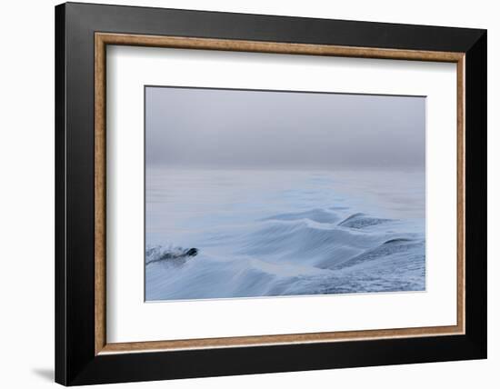 Washington State, Puget Sound Wake Patterns on Calm Water Reflecting Moody Light. Dense Fog-Trish Drury-Framed Photographic Print