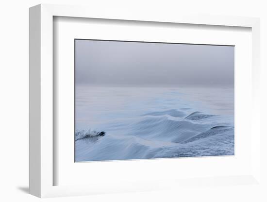 Washington State, Puget Sound Wake Patterns on Calm Water Reflecting Moody Light. Dense Fog-Trish Drury-Framed Photographic Print