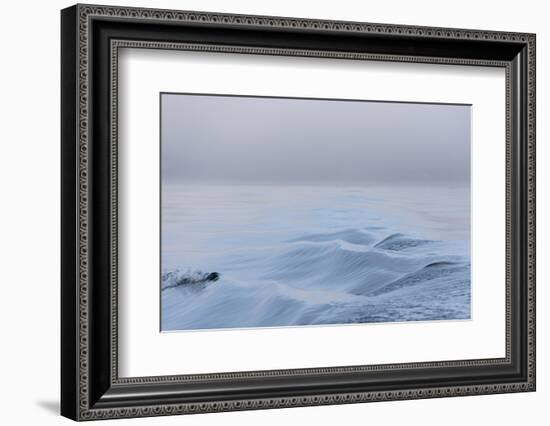 Washington State, Puget Sound Wake Patterns on Calm Water Reflecting Moody Light. Dense Fog-Trish Drury-Framed Photographic Print