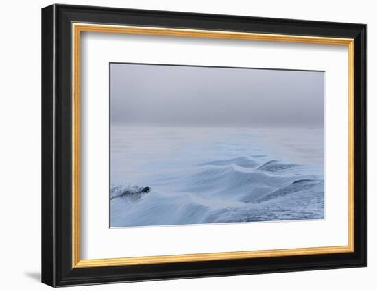 Washington State, Puget Sound Wake Patterns on Calm Water Reflecting Moody Light. Dense Fog-Trish Drury-Framed Photographic Print