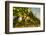 Washington State, Red Mountain. Petit Verdata Grapes on Red Mountain at Harvest Season-Richard Duval-Framed Photographic Print