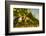 Washington State, Red Mountain. Petit Verdata Grapes on Red Mountain at Harvest Season-Richard Duval-Framed Photographic Print