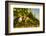 Washington State, Red Mountain. Petit Verdata Grapes on Red Mountain at Harvest Season-Richard Duval-Framed Photographic Print