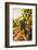 Washington State, Red Mountain. Vineyard Near Harvest-Richard Duval-Framed Photographic Print