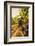 Washington State, Red Mountain. Vineyard Near Harvest-Richard Duval-Framed Photographic Print