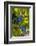 Washington State, Red Mountain. Winemaker with Merlot Grapes-Richard Duval-Framed Photographic Print