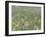 Washington State, Ridgefield National Wildlife Refuge. Marsh Wren Singing on Reed-Jaynes Gallery-Framed Photographic Print